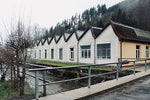Wiesental im Wandel